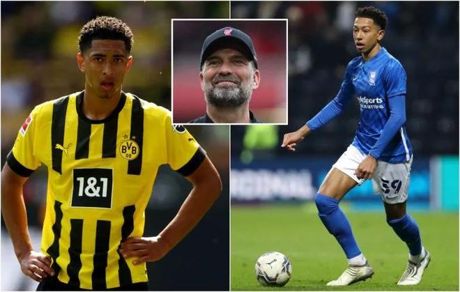 薪资专家：罗齐尔几乎可以确定不会再为热火出战